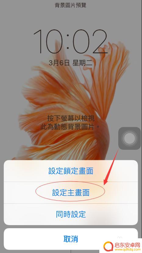 苹果手机的界面图片 IPhone手机如何设置主界面背景壁纸