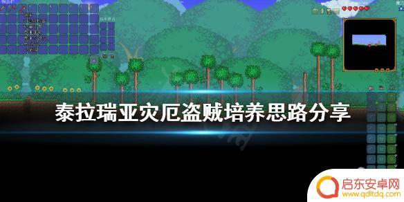 泰拉瑞亚盗贼职业 泰拉瑞亚盗贼培养攻略分享
