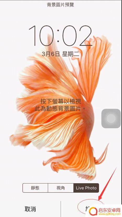 苹果手机的界面图片 IPhone手机如何设置主界面背景壁纸