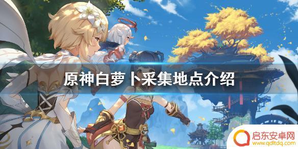 原神中萝卜最多的地方 《原神》白萝卜采集点在哪里