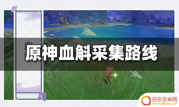 原神血斛材料在哪 血斛采集路线分享