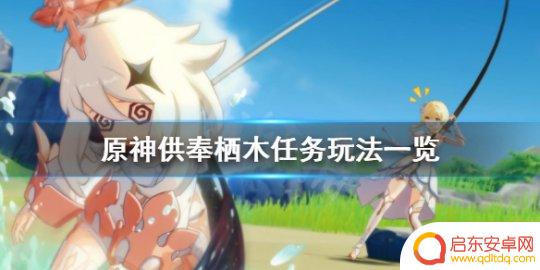 原神稻妻栖木解密后续 原神供奉栖木任务玩法详解