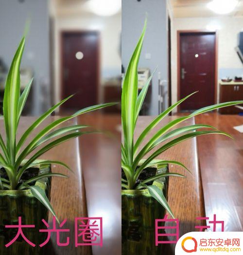 手机怎样拍出背景虚化的照片 如何用手机拍出背景虚化效果