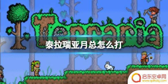 泰拉瑞亚怎么抵挡月总激光 《泰拉瑞亚》月总打法详解