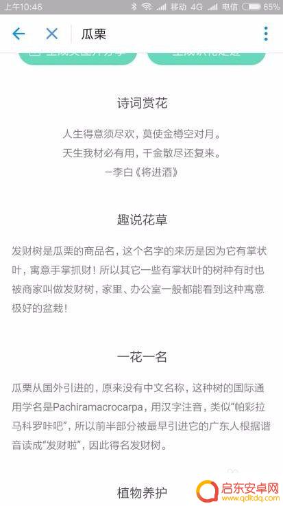 用手机怎么检验花 不认识花怎么辨别