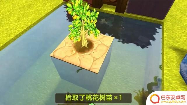 迷你求生世界怎么做地图 迷你世界空岛生存地图怎么做