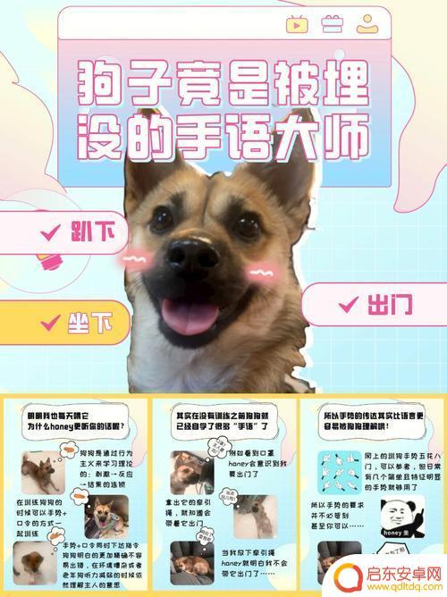 我的狗狗如何让它不叫 狗狗怎样训练不叫