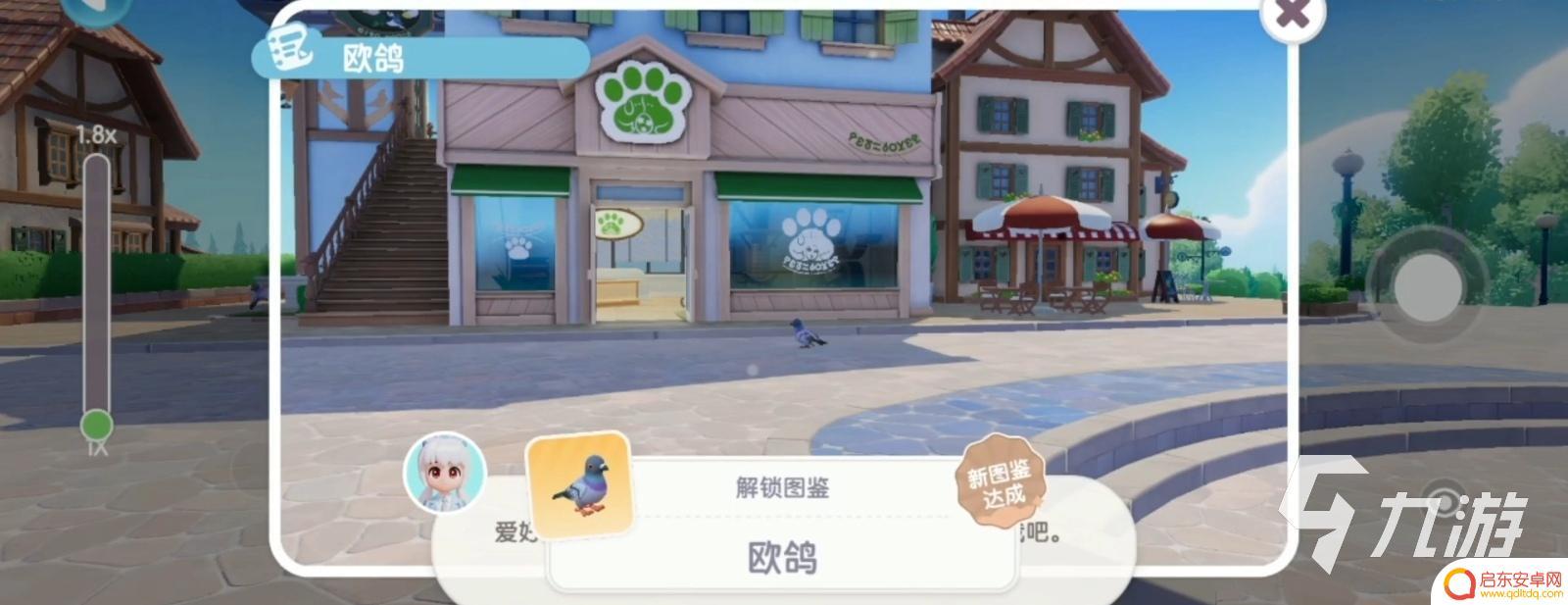 心动小镇怎么解锁观鸟 心动小镇观鸟收集指南攻略解析