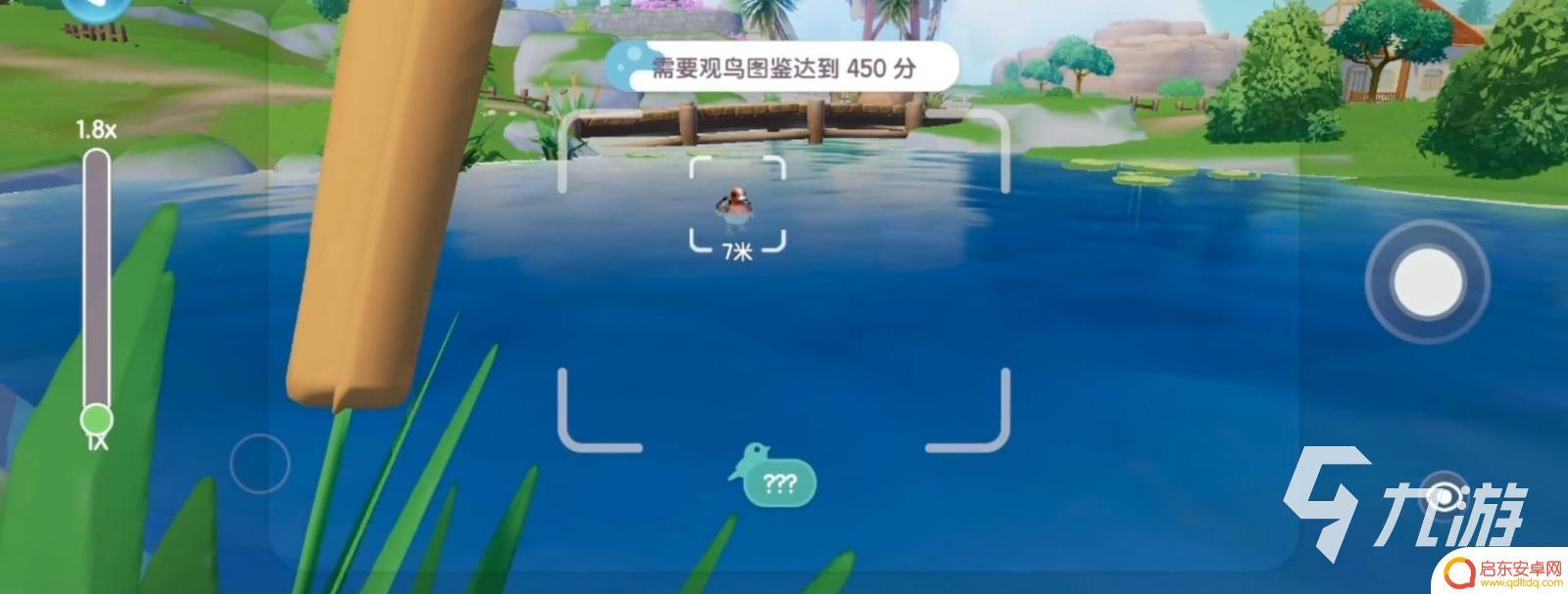 心动小镇怎么解锁观鸟 心动小镇观鸟收集指南攻略解析