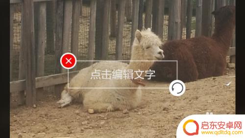 手机淘宝如何发图片加文字 手机照片添加文字教程
