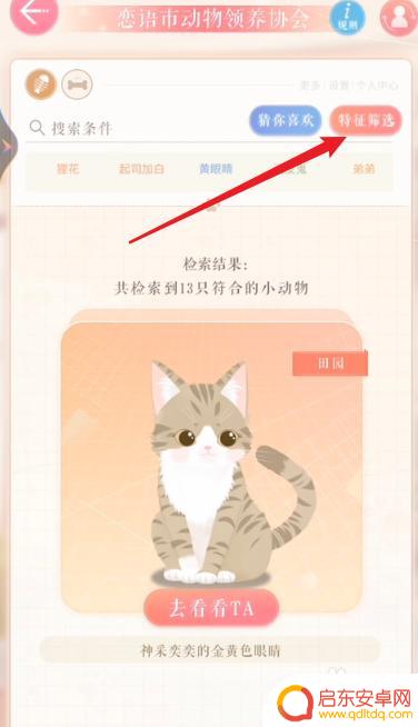 恋与制作人怎么领养宠物 恋与制作人宠物领养方式