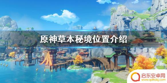 原神草本是哪个? 原神草本秘境地图位置