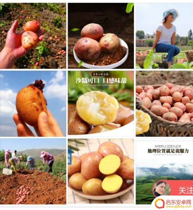 抖音美食昭通美女