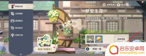 原神花种子怎么得 如何在原神中获得梦里花种子