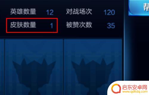 手机如何查看皮肤数量统计(手机如何查看皮肤数量统计表)