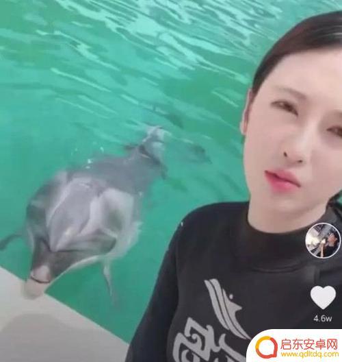 快手抖音海豚姐姐(快手抖音海豚姐姐是真的吗)