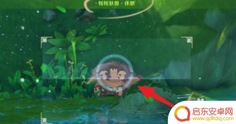 原神遍览森林拍照攻略 原神遍览深林攻略攻略视频