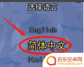 泰拉瑞亚国际版怎么整中文 - 入门指南及实用技巧