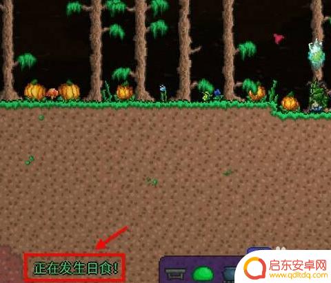 泰拉瑞亚四级火箭哪里得?最全攻略及获取方法揭秘