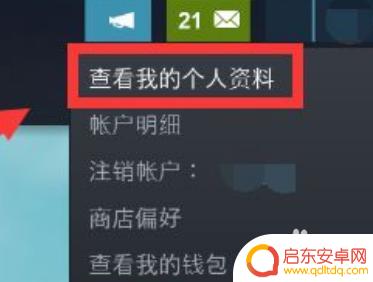 怎么在steam上隐藏游戏 如何在Steam上隐藏自己正在玩的游戏