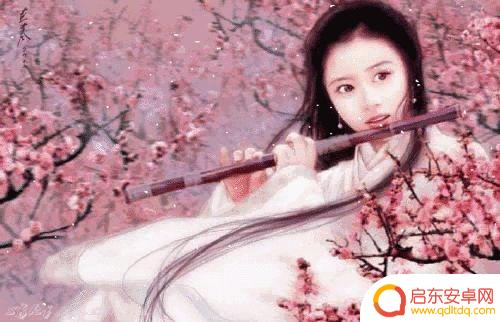抖音一曲相思是谁唱的(抖音一曲相思是谁唱的歌)