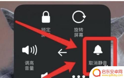 为什么苹果手机玩原神没声音 苹果手机原神外放声音无声怎么处理