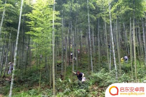 如何防户外蚊子叮咬手机 如何在野外预防蚊虫叮咬