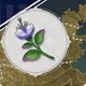 原神各个角色突破材料 原神角色突破材料表一览图