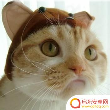 抖音说说流氓语录(抖音说说流氓语录搞笑)