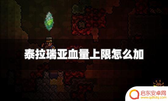 泰拉瑞亚灾厄提升血上限 泰拉瑞亚血量上限增加方法