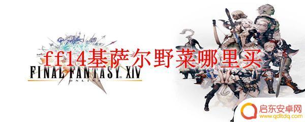 ff14基萨尔野菜在哪买 ff14基萨尔野菜在哪里可以买到