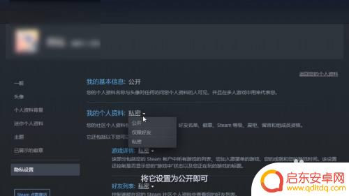 steam如何让别人看到资料 Steam个人资料隐私设置公开