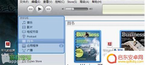 苹果手机阅读如何导入 iPhone导入电子书的两种方法及步骤详解