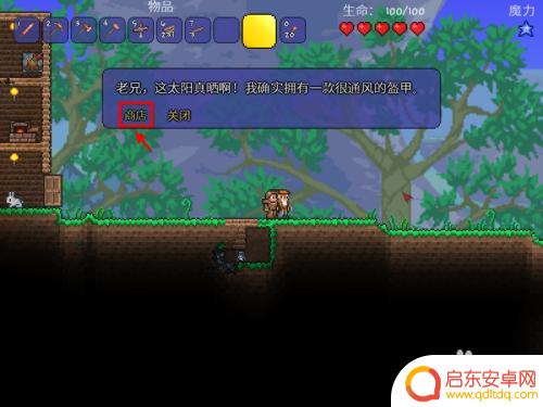 泰拉瑞亚网怎么做 泰拉瑞亚捕虫网怎么合成