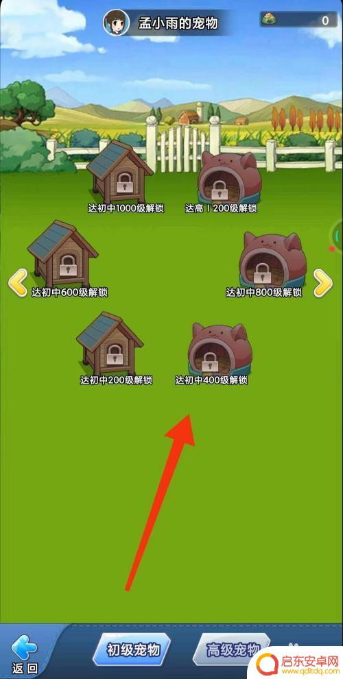 全民学霸怎么领取宠物 全民学霸宠物领养条件