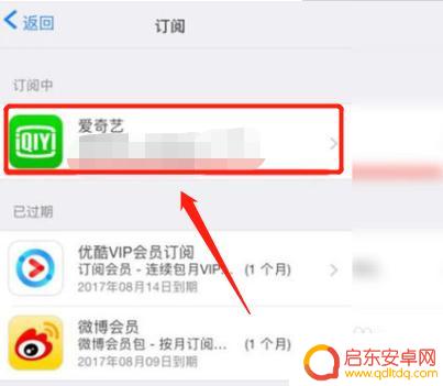 苹果手机如何终止付费软件 如何在苹果手机上取消软件的自动续费