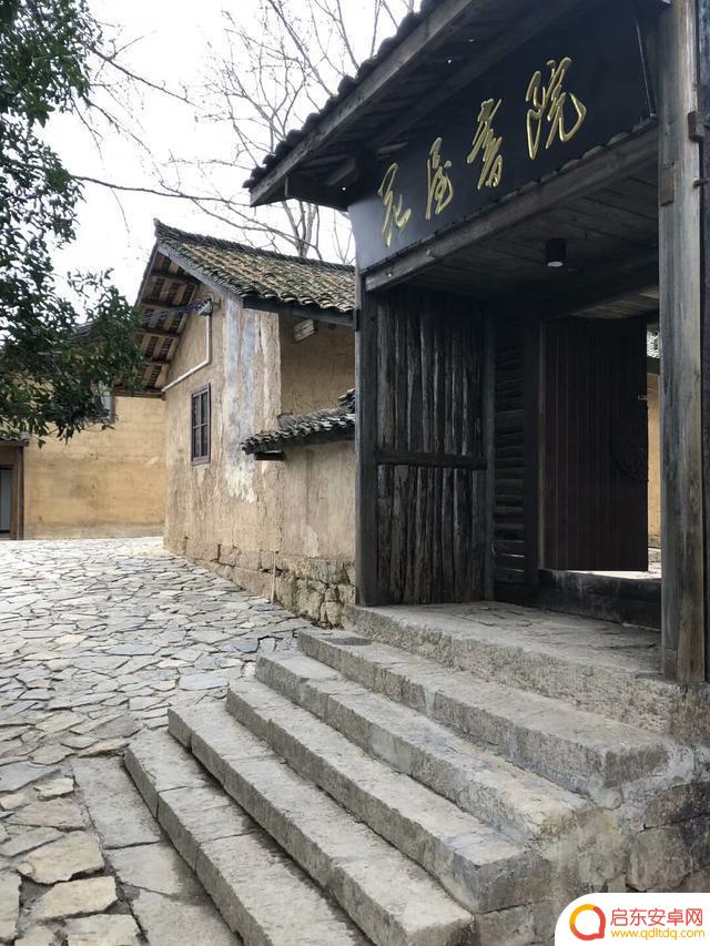 重庆抖音银杏视频(银杏抖音)