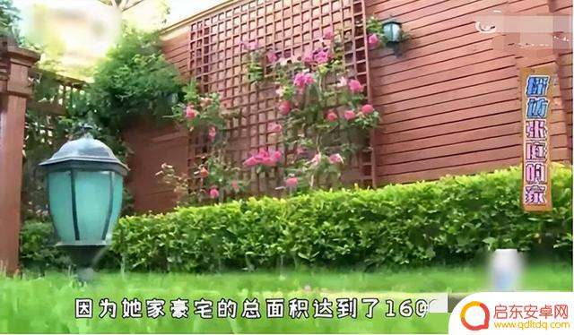 张庭林瑞阳做饭抖音(张庭林瑞阳抖音视频)