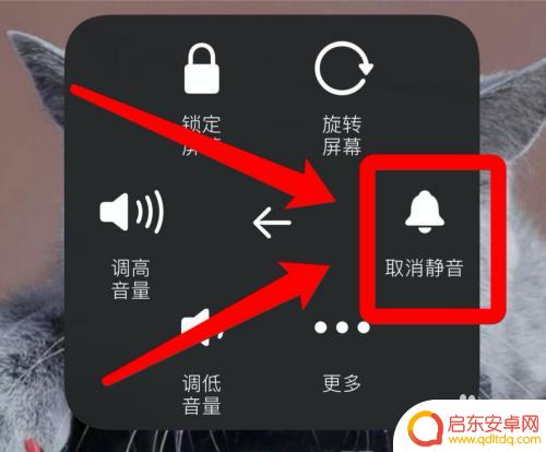 为什么苹果原神没声音 苹果手机原神外放没声音怎么办