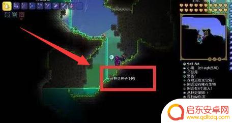 泰拉瑞亚怎么触发丛林疯长 泰拉瑞亚丛林种子快速蔓延方法