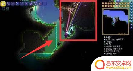 泰拉瑞亚怎么触发丛林疯长 泰拉瑞亚丛林种子快速蔓延方法