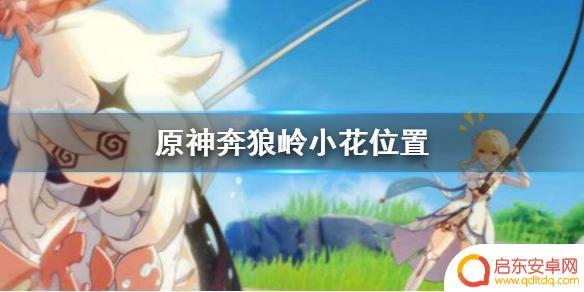原神奔狼林 奔狼岭四朵小花在原神中的具体位置