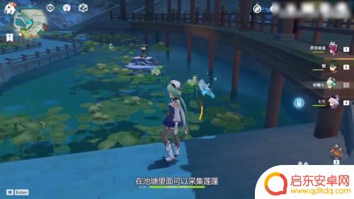 原神莲蓬怎么挖 原神莲蓬在哪个城市
