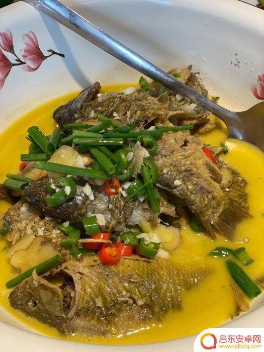 高桥附近抖音美食推荐(高桥附近抖音美食推荐店)