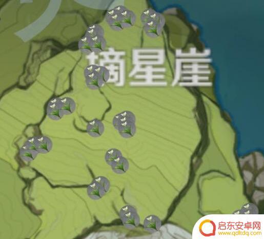 原神赛西莉亚花怎么获得 原神塞西利亚花在哪个地图采集