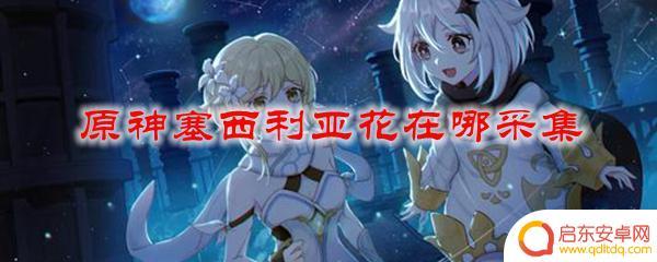 原神赛西莉亚花怎么获得 原神塞西利亚花在哪个地图采集