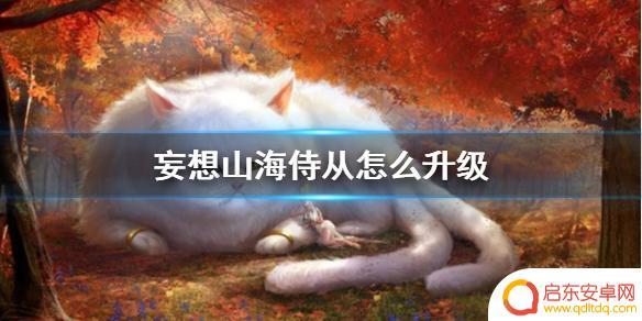 妄想山海怎么给侍从升级 《妄想山海》侍从升级攻略