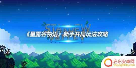 星露谷物语如何开始游戏 《星露谷物语》新手建议玩法